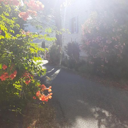 Alma Bella Bed and Breakfast Le Pegue Buitenkant foto